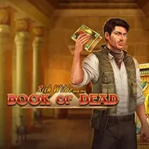 Book of Dead play demo